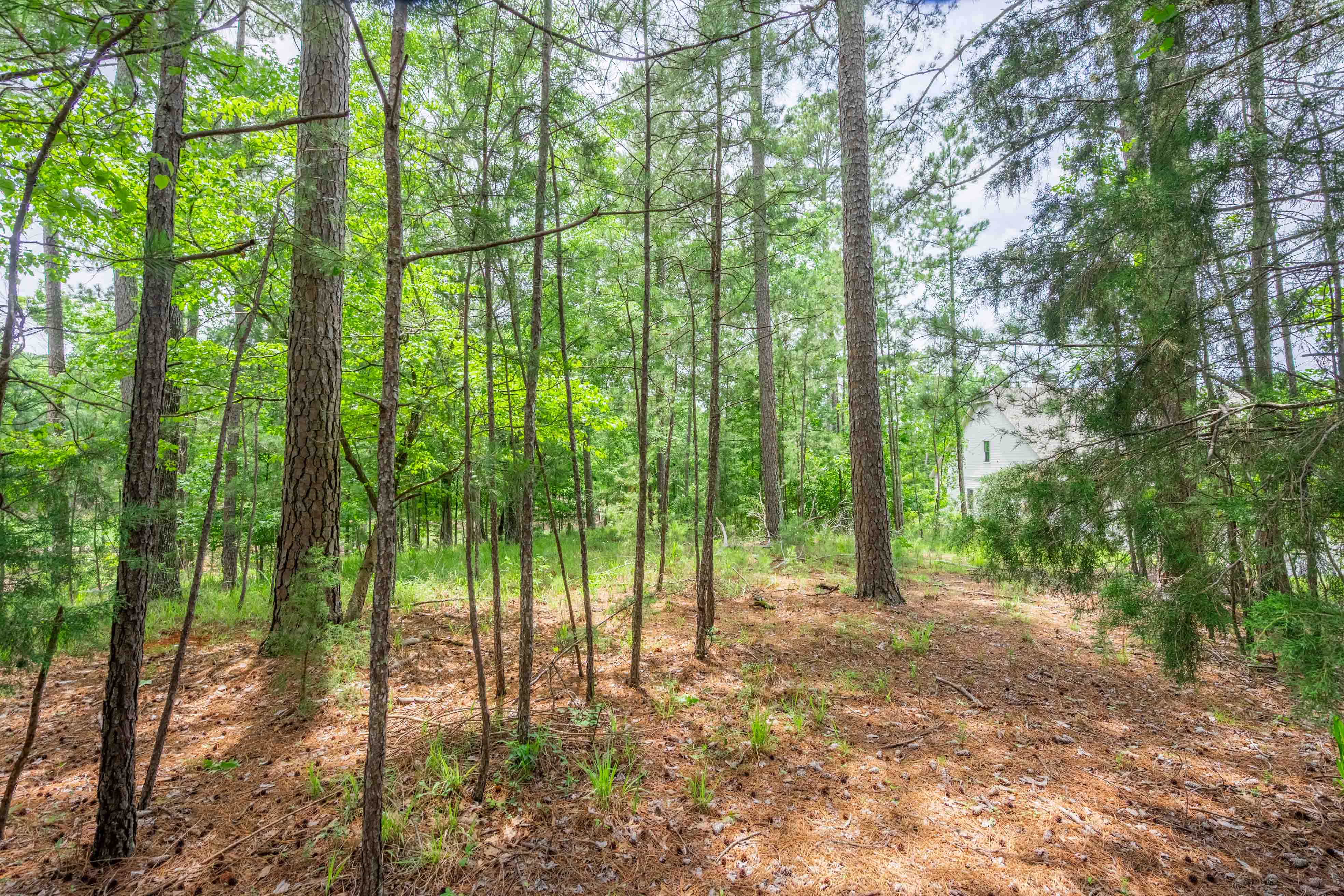 1101 Scull Shoals Drive image 12